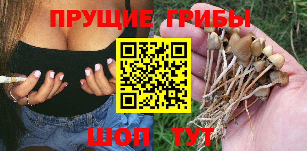 Иваново  Псилоцибиновые грибы прущие грибы  Вход с VPN 
